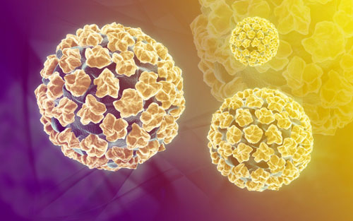 HPV Siêu vi gây U Nhú ở người Human PapillomaVirus