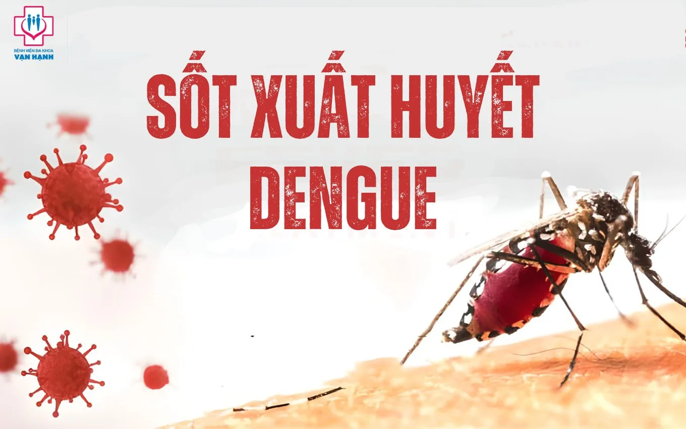 SỐT XUẤT HUYẾT