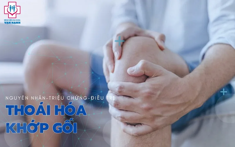 THOÁI HÓA KHỚP GỐI