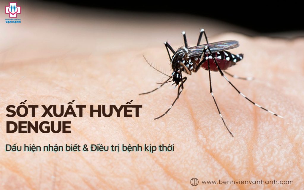 sot-xuat-huyet-dengue-dau-hieu-va-dieu-tri