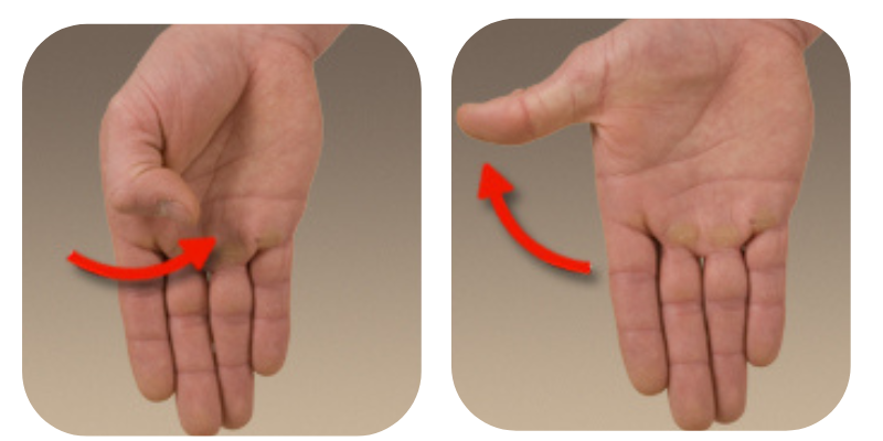 Thumb-flexion-extension