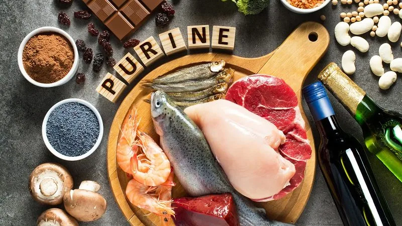 giam-protein-dong-vat-ngan-ngua-doi-than