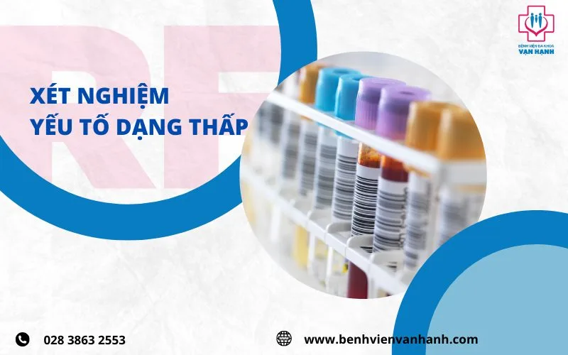 xét nghiệm yếu tố dạng thấp RF