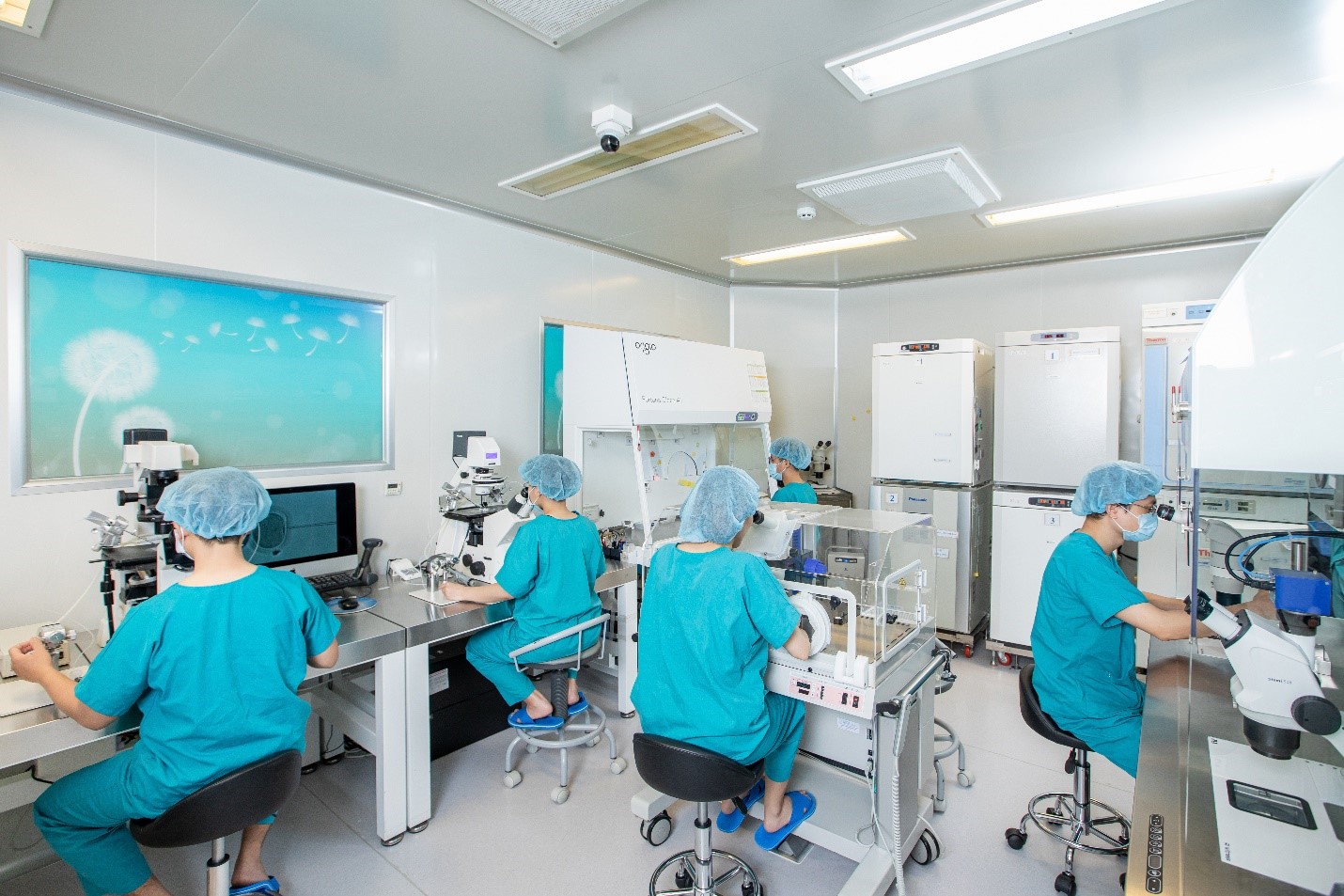 IVF Profile