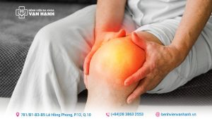 thoái hóa khớp gối