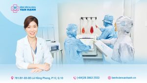 tế bào gốc trong thoái hoá khớp