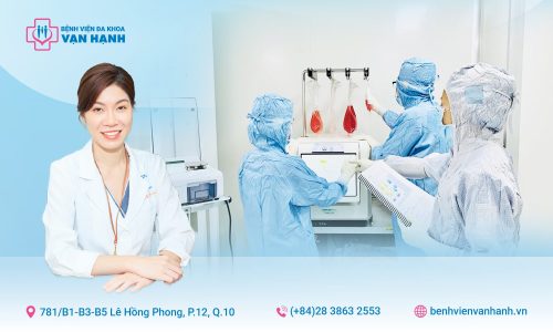 tế bào gốc trong thoái hoá khớp
