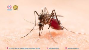 sốt xuất huyết dengue