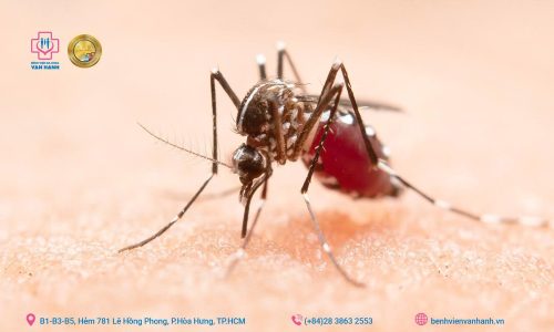 sốt xuất huyết dengue