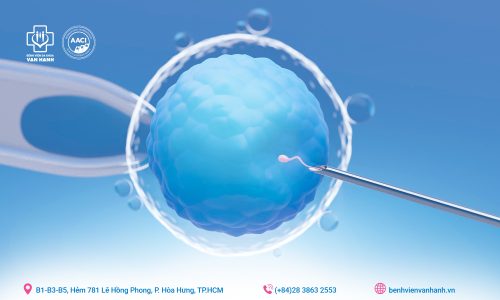 IVF