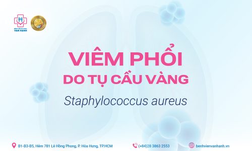 251112 TU CAU VANG_Cover Zalo va Website_1600x900