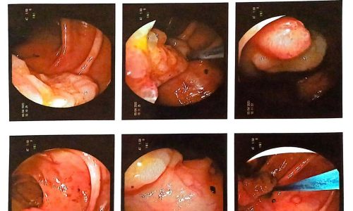 ba864ba4-6c40-4da0-8555-89bfca101b28