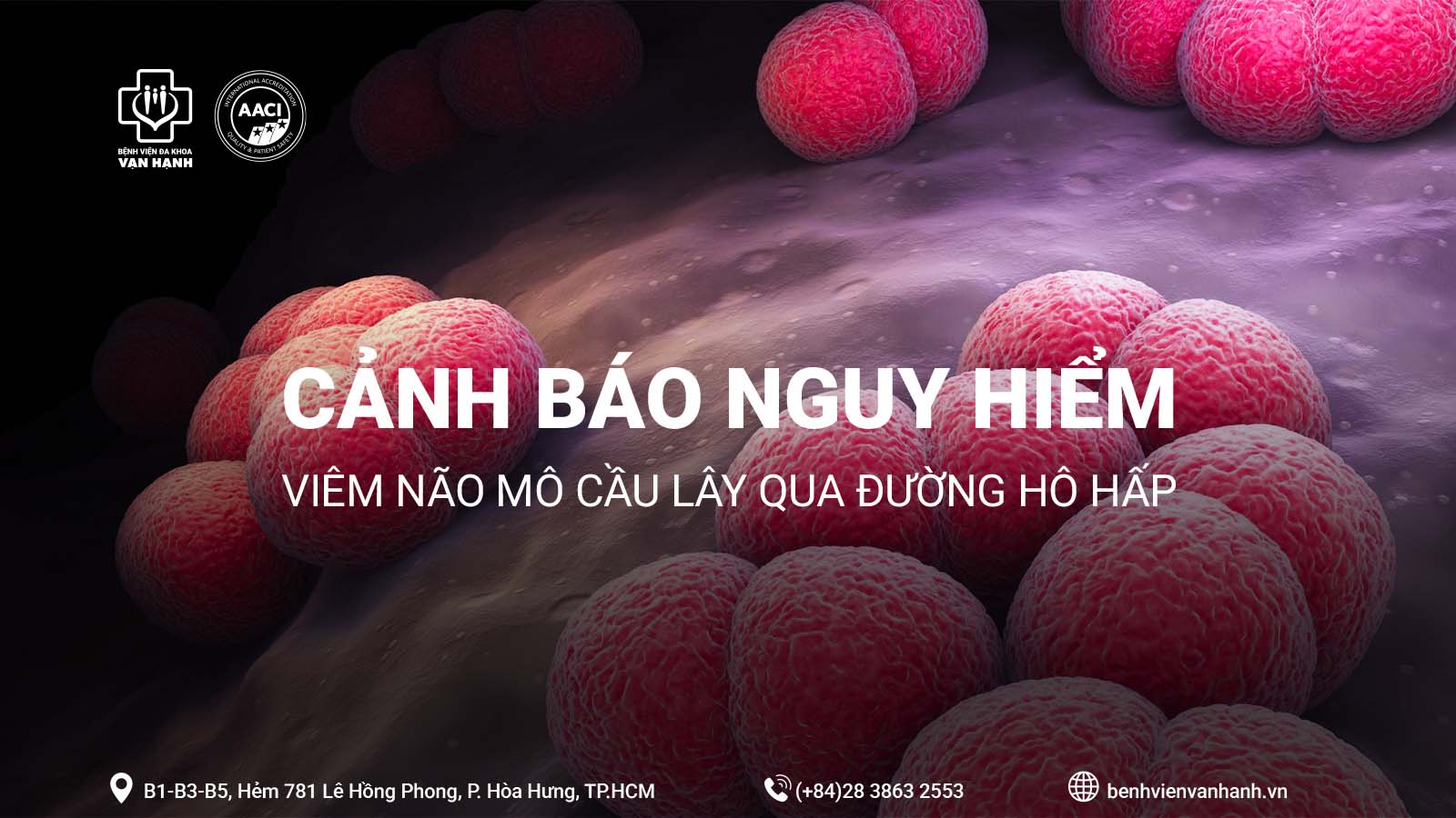 Viêm màng não mô cầu: Bệnh nguy hiểm lây qua đường hô hấp, có thể tử vong sau 24 giờ