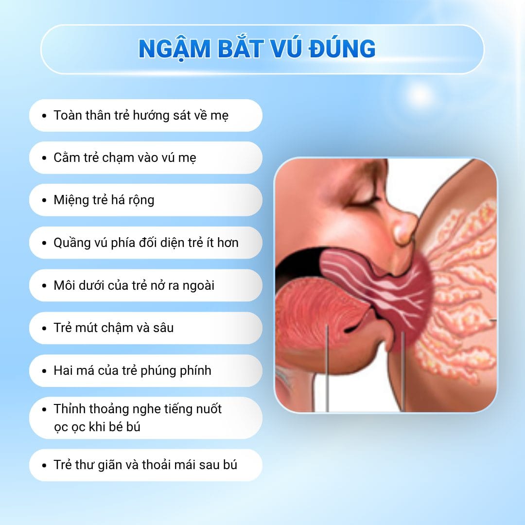 Hướng Dẫn Bé Ngậm Bắt Núm Vú Chuẩn